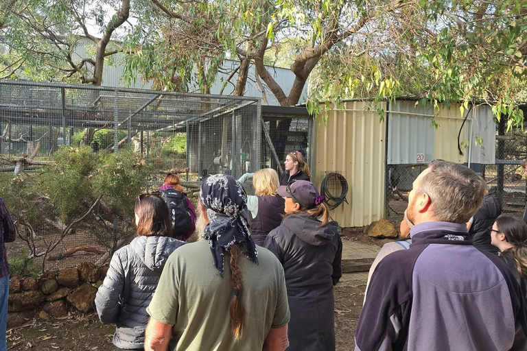 Perth: Kaarakin Black Cockatoo Conservation Tour & Hike