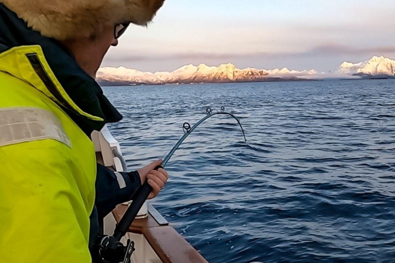 Tromsø : Croisière dans les fjords pour la pêche et les fruits de mer dans l'Arctique à bord d'un yacht de luxeTromsø : Croisière de luxe pour la pêche et les fruits de mer