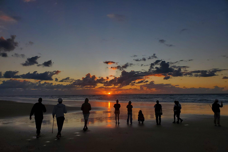 Excursión de 3 días de Hervey Bay a K&#039;gari/Isla Fraser (Casa en la playa)