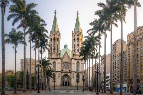 Brazilian Wine Tasting Sao Paulo Private Guided Walking Tour 2-hour: 4 Wines Tasting