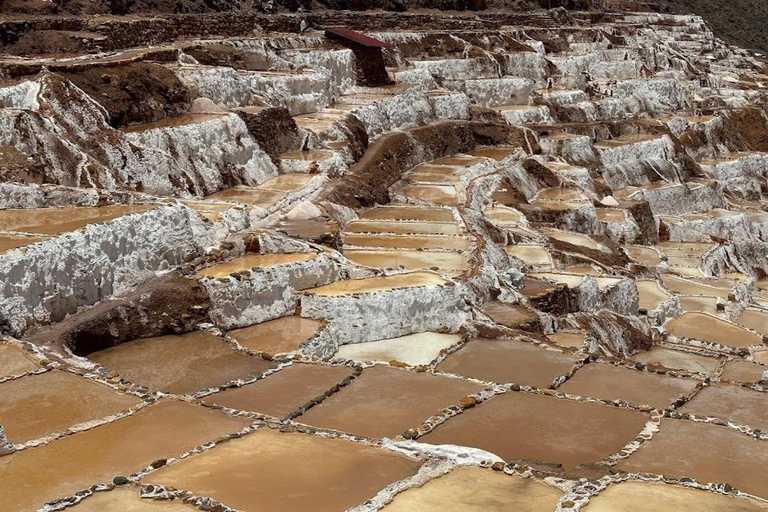 Cusco: Halve dag tour Maras + Moray