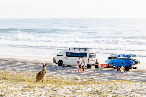 Bribie Island: Sea to Table 4WD, Kayak, & Seafood Lunch Tour