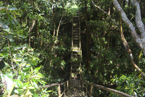 Sao Miguel Hike to Janela do Inferno and Lagoa do Fogo