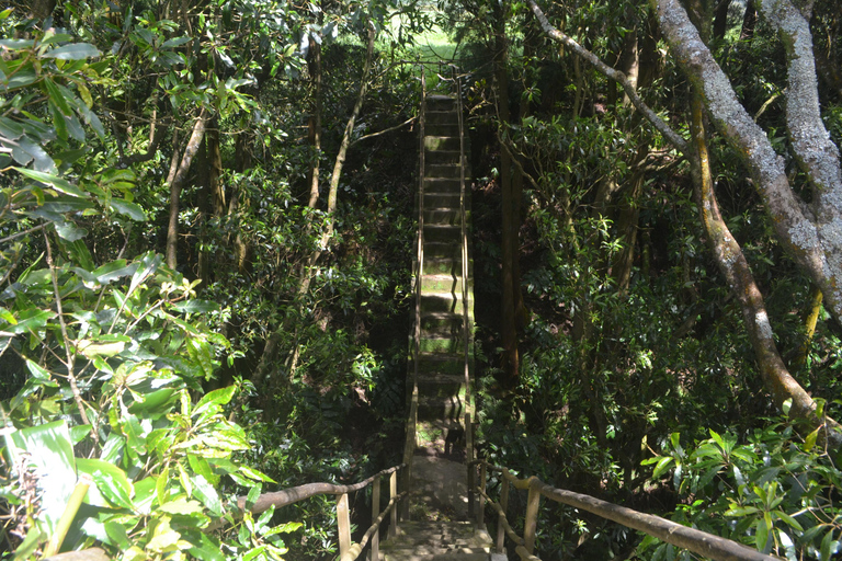 Sao Miguel Hike to Janela do Inferno and Lagoa do Fogo