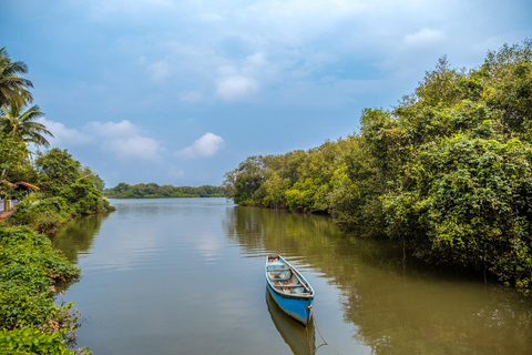 Goa: Excursión a la Vieja Goa y a la Isla de Divar con almuerzo