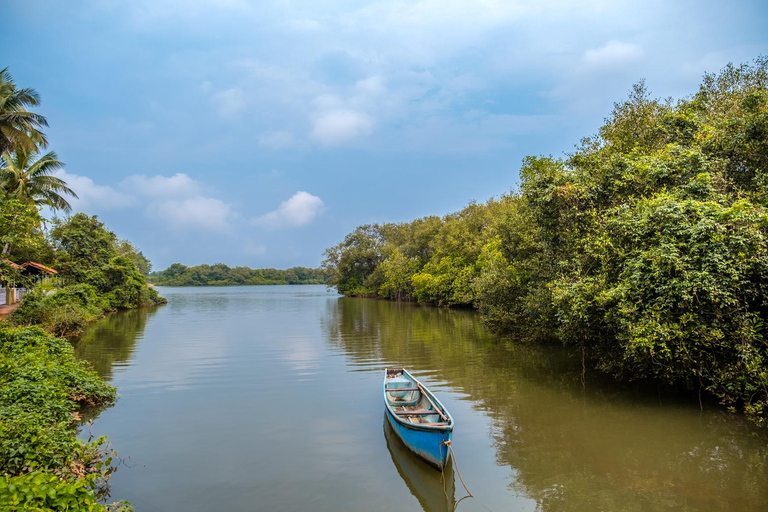 Goa : Excursion au Vieux Goa et à l&#039;île de Divar avec déjeuner