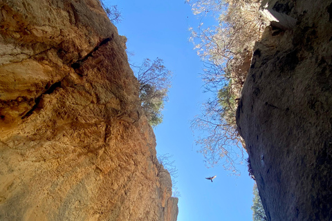 Creta: Tour guiado de senderismo por el Cañón de Kritsa