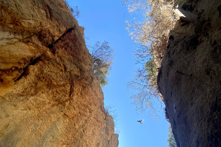 Creta: Tour guiado de senderismo por el Cañón de Kritsa