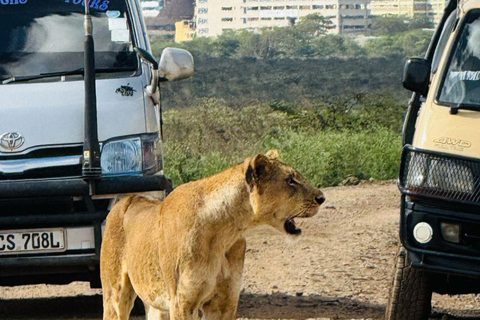 Nairobi: Sunrise Safari with Bush Breakfast At NNP