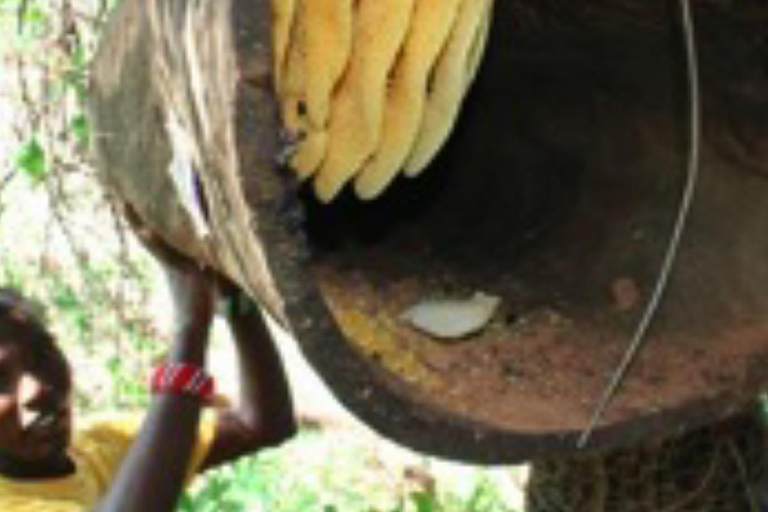 Zanzibar: las Masingini, pszczelarstwo i wycieczka na plażę MtendeZanzibar: Las Masingini, pszczelarstwo i wycieczka na plażę Mtende