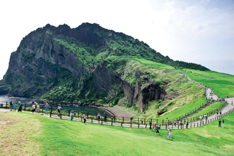 Jeju East Coast Photo Friendly Private Tour for Cruise Guest Jeju International Port