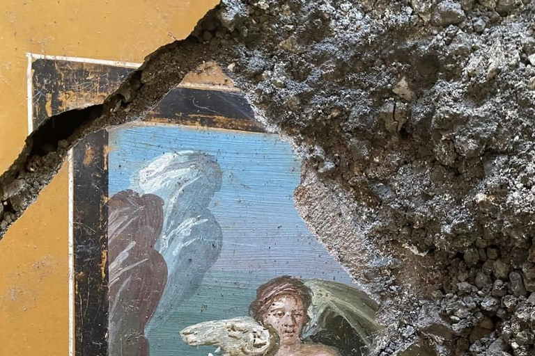 Pompeii: Guided Tour with Archaeologist and Lunch