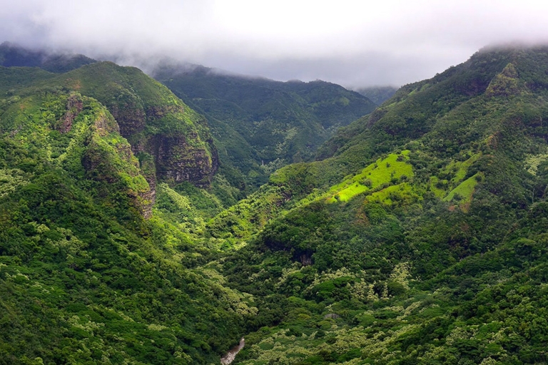 Kauai: Bustour zu berühmten DrehortenKauai: Bustour zu berühmten Drehorten ab Lihue & Wailua