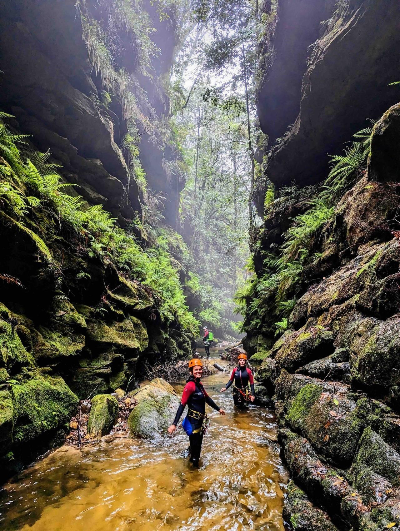 Blue Mountains: Empress-Schlucht – Canyoning-Abenteuer für Anfänger
