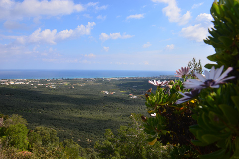 Crete: Wine & Olive Oil Tasting & Historic Villages Tour