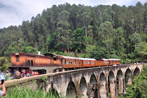 Ella : excursion d&#039;une journée inoubliable et tour en trainElla : excursion d&#039;une journée inoubliable et balade en train