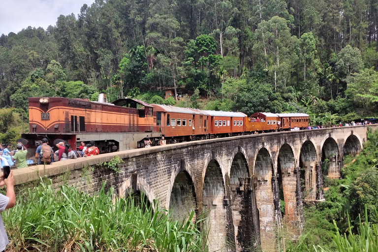 Ella : excursion d&#039;une journée inoubliable et tour en trainElla : excursion d&#039;une journée inoubliable et balade en train