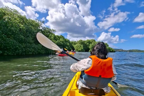 Explore Private Mangrove Kayak Adventure with Village Tour TRANSEER AND ENTRANCE FEE ALL ARE INCLUDED