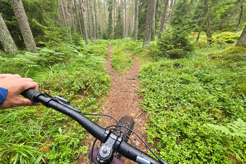 Stockholm på Fat Bike: Fatbike skogsäventyr med lunch och bastu