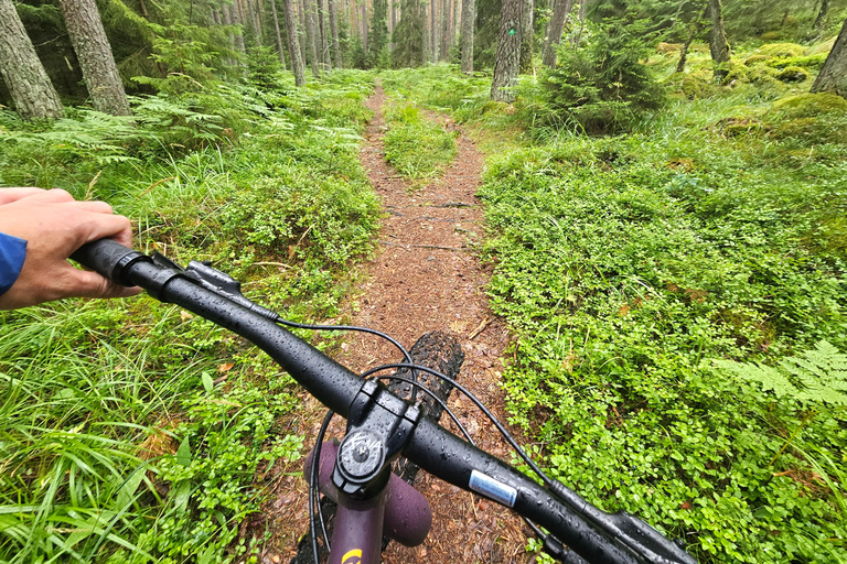 Stockholm: Fat Bike Waldabenteuer mit Mittagessen und Sauna