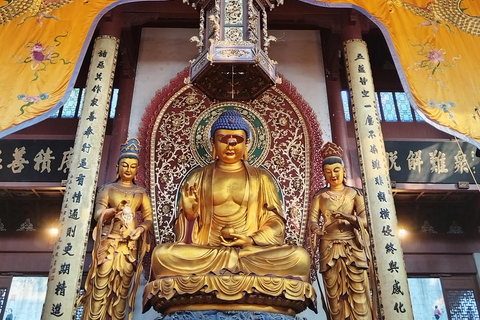 جولة خاصة شاملة كلياً في أبرز معالم مدينة شنغهايAll Inclusive Tour