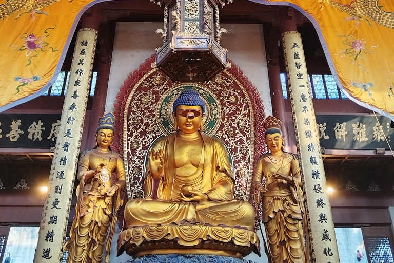 جولة خاصة شاملة كلياً في أبرز معالم مدينة شنغهايAll Inclusive Tour