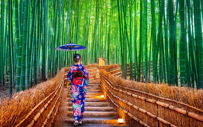 Kyoto Arashiyama Walking Tour: Bamboo Grove, Monkey&Secrets.