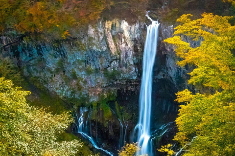 De Tóquio: Excursão de 1 dia a Nikko, Património Mundial, em privado