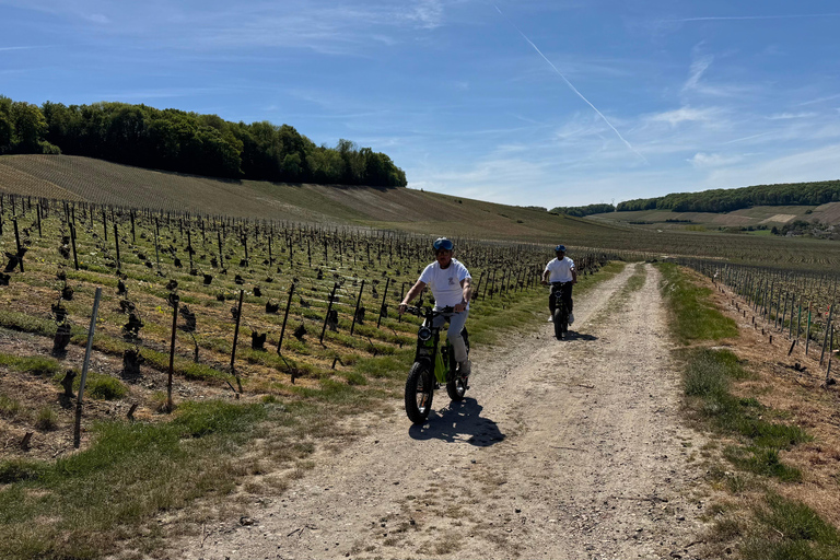 Champagne Vineyards: Tour through the heart of the vineyards on a fat tire e-bike Champagne Vineyards: Tour through the Heart of the Vines on a Fat E-Bike