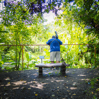 La Fortuna, il tour di Sloth nel Volcano Park e Snack locale - Housity