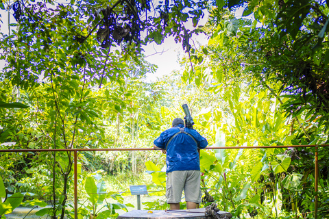 لا فورتونا: جولة الكسلان في متنزه بركان أرينال ووجبة خفيفة محلية