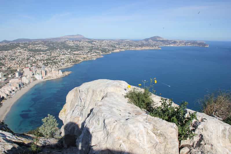 Visita guiada partilhada a Alicante: centro histórico, Elche e jardins Huerto del Cura