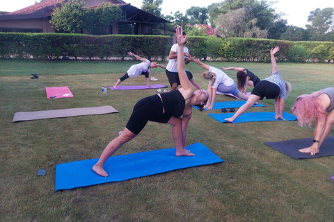 Jaipur: Yoga e Meditação com uma Caminhada Sagrada