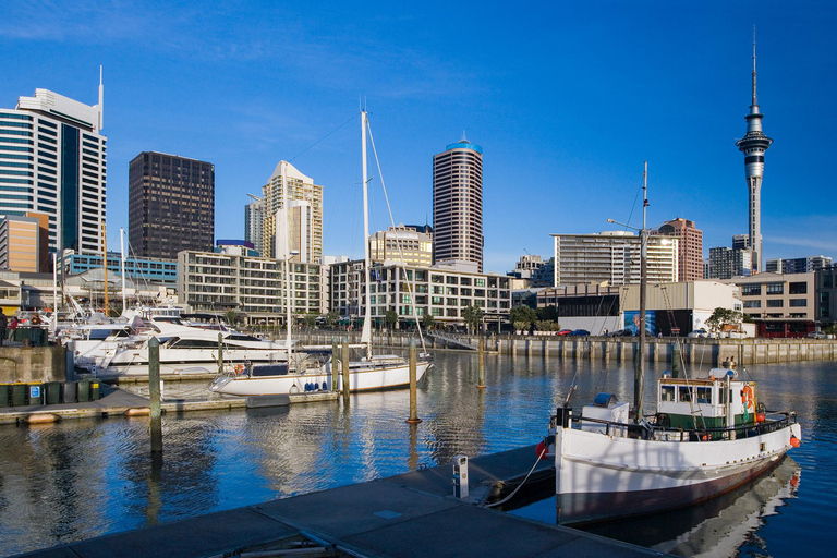 Auckland: En privat Privat tur i staden med Mount Victoria och Mt. Eden