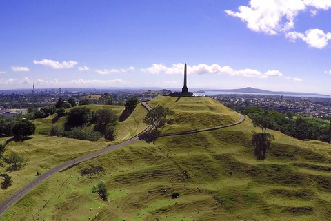 Halve dag Auckland City Sightseeing Tour in kleine groep