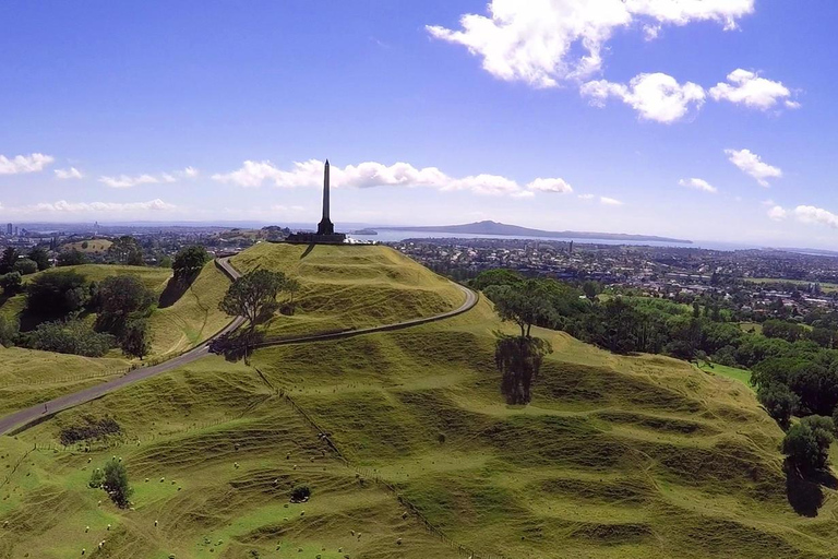 Halve dag Auckland City Sightseeing Tour in kleine groep