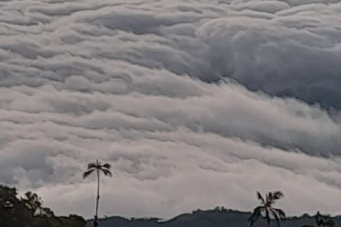 Minca: Cerro Kennedy and La Victoria Coffee Farm Tour