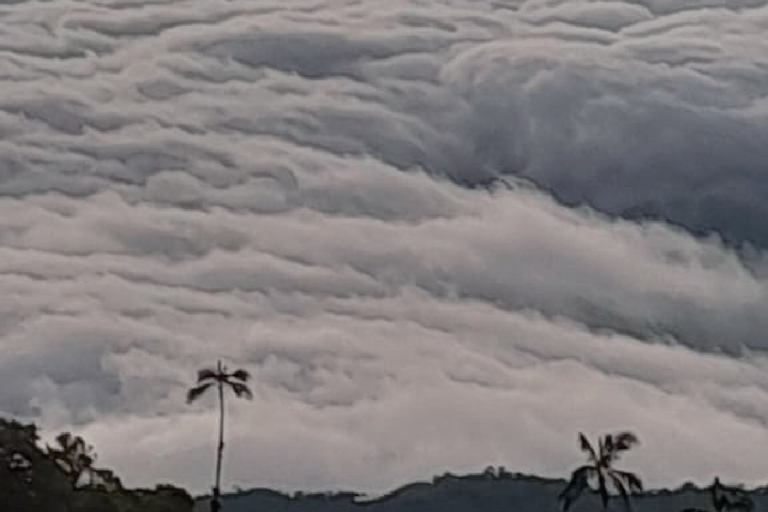 Minca: Cerro Kennedy and La Victoria Coffee Farm Tour