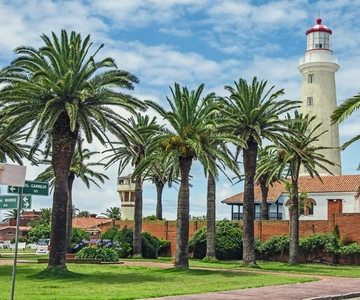Il meglio del centro storico di Punta del Este - Tour privato a piedi