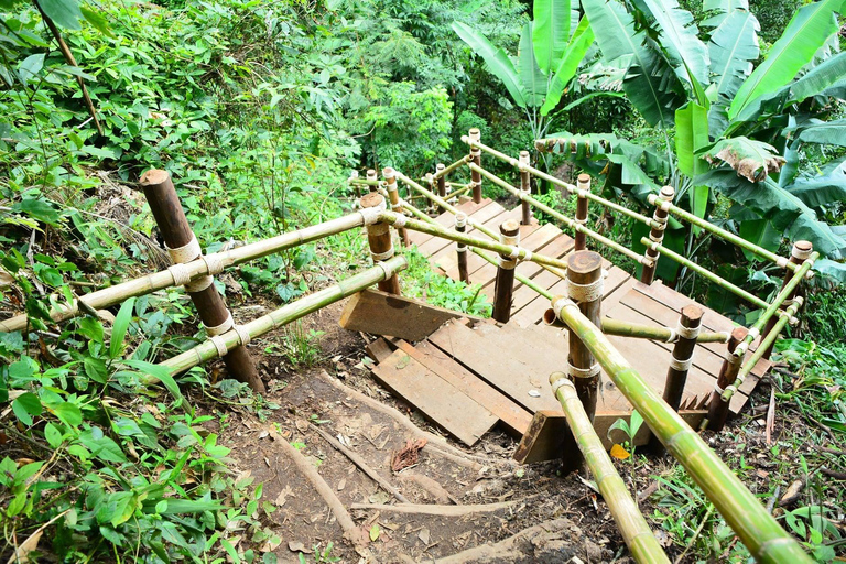 Parc national de Doi Inthanon et randonnée Kew Mae Pan Nature Trail