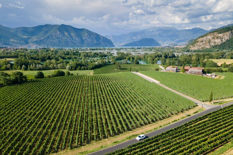 Milan: Lake Iseo & Franciacorta Wine Region with Cruise Tour in English With Cruise