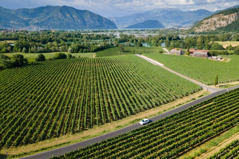 Milan: Lake Iseo & Franciacorta Wine Region with Cruise Tour in English With Cruise