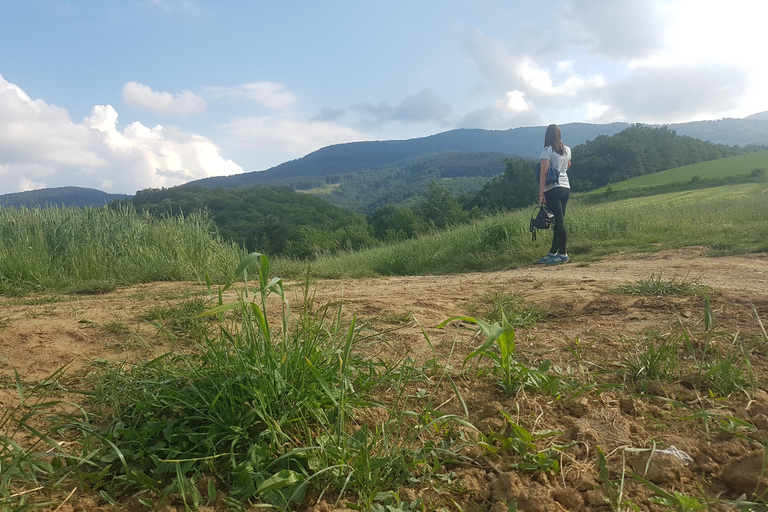 Belgrade: Truffle Hunting Tour With Dogs, Lunch & Wine