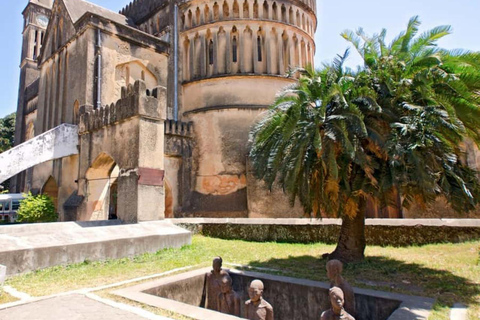 Od dżungli do Stone Town: ucieczka na Zanzibar, pełna przyrody i dziedzictwaWycieczka obejmuje Odbiór z hotelu i transport powrotny