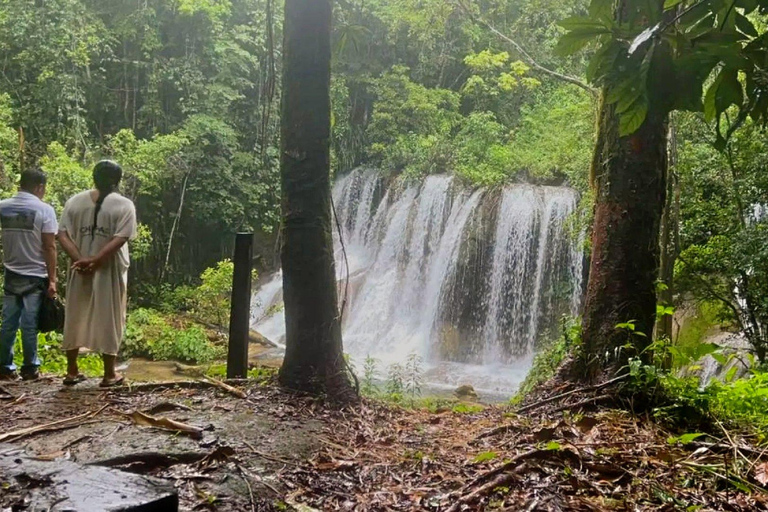 Palenque: Rafting and Hiking in the Lacandona Jungle