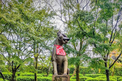 Kyoto and Nara: private tour with English speaking driver