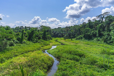 Cusco: Manu National Park 5-Day Jungle Wildlife Tour