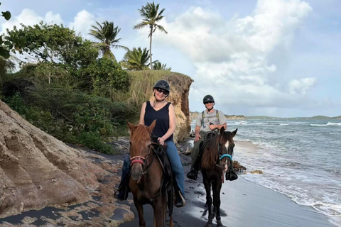Vieques: Horseback Riding with Isla Nena Trail Rides