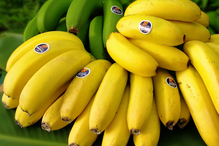 Ponta Do Sol : Madeira Banana Museum guided tour