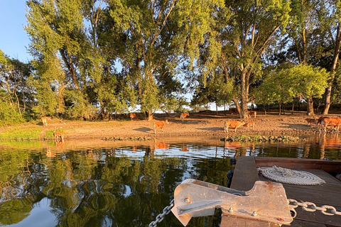 Location bateau traditionnel de Loire